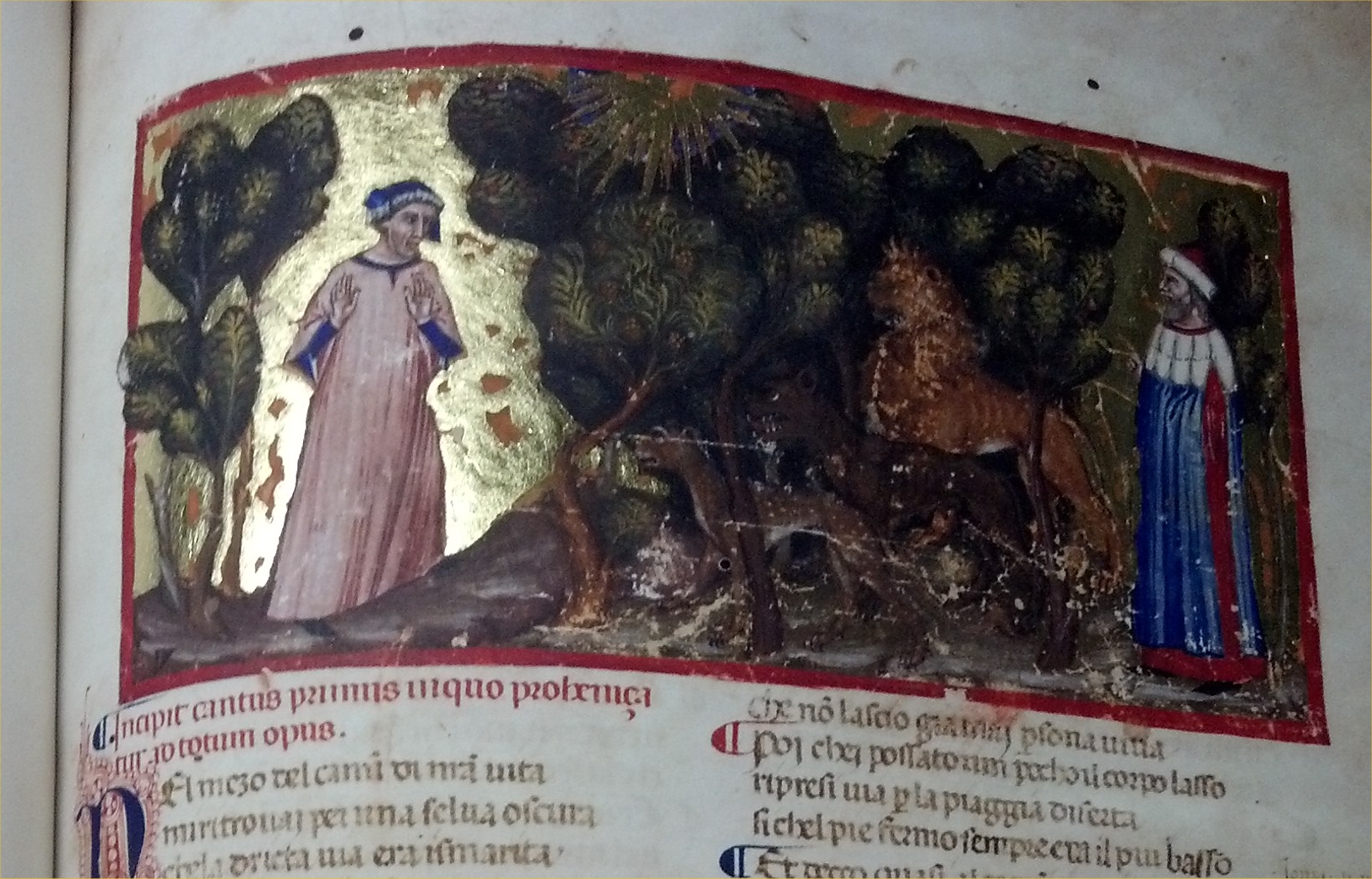 fol1v